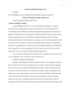 Cultural Leadership Strategies Essay – page 2