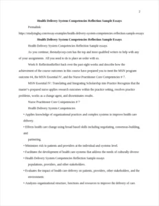 Health Delivery System Competencies Reflection Sample Essays β page 2