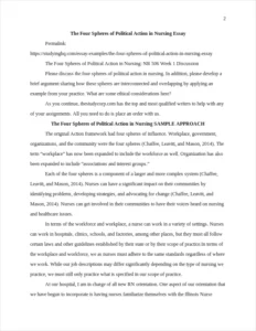 The four spheres of political action in nursing essay – page 2