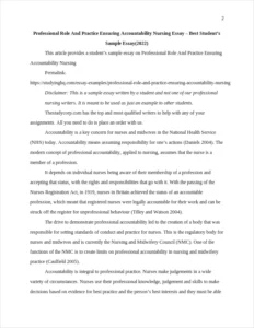 Professional Role And Practice Ensuring Accountability Nursing – page 2
