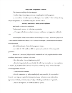 Policy Brief assignment – page 2