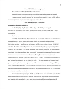Bebe Babbitt iHuman Assignment – page 2