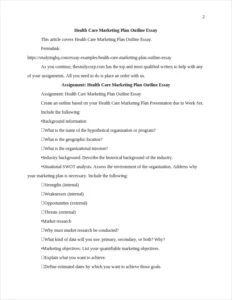 Health Care Marketing Plan Outline Essay – page 2