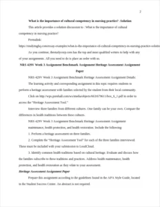 What is the importance of cultural competency in nursing practice? β page 2