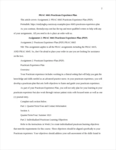 PRAC 6665 Practicum Experience Plan β page 2