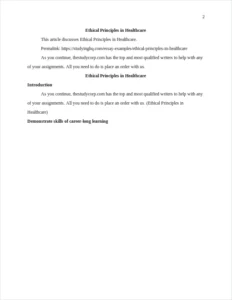 Ethical Principles in Healthcare β page 2