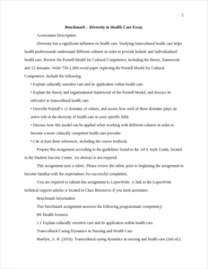 Benchmark - Diversity in Health Care Essay – page 2