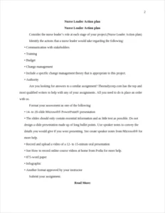 Nurse Leader Action plan β page 2