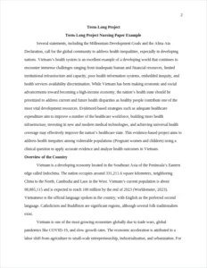 Term-Long Project Nursing Paper Example β page 2